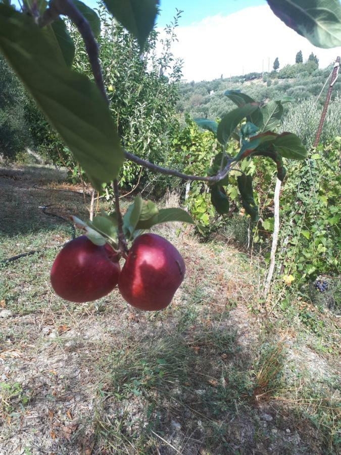 Paraspori  Villa Irini - Cretan Luxury Villa With Amazing View מראה חיצוני תמונה